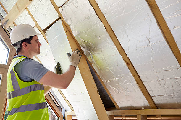 Best Cellulose Insulation in Albion, MI